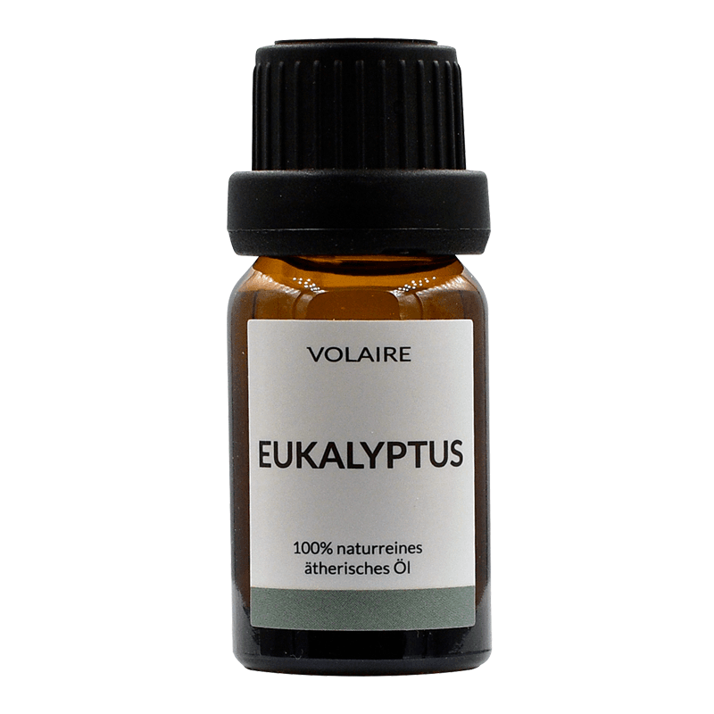 aromaoel-diffuser-eukalyptus Eukalyptus Öl